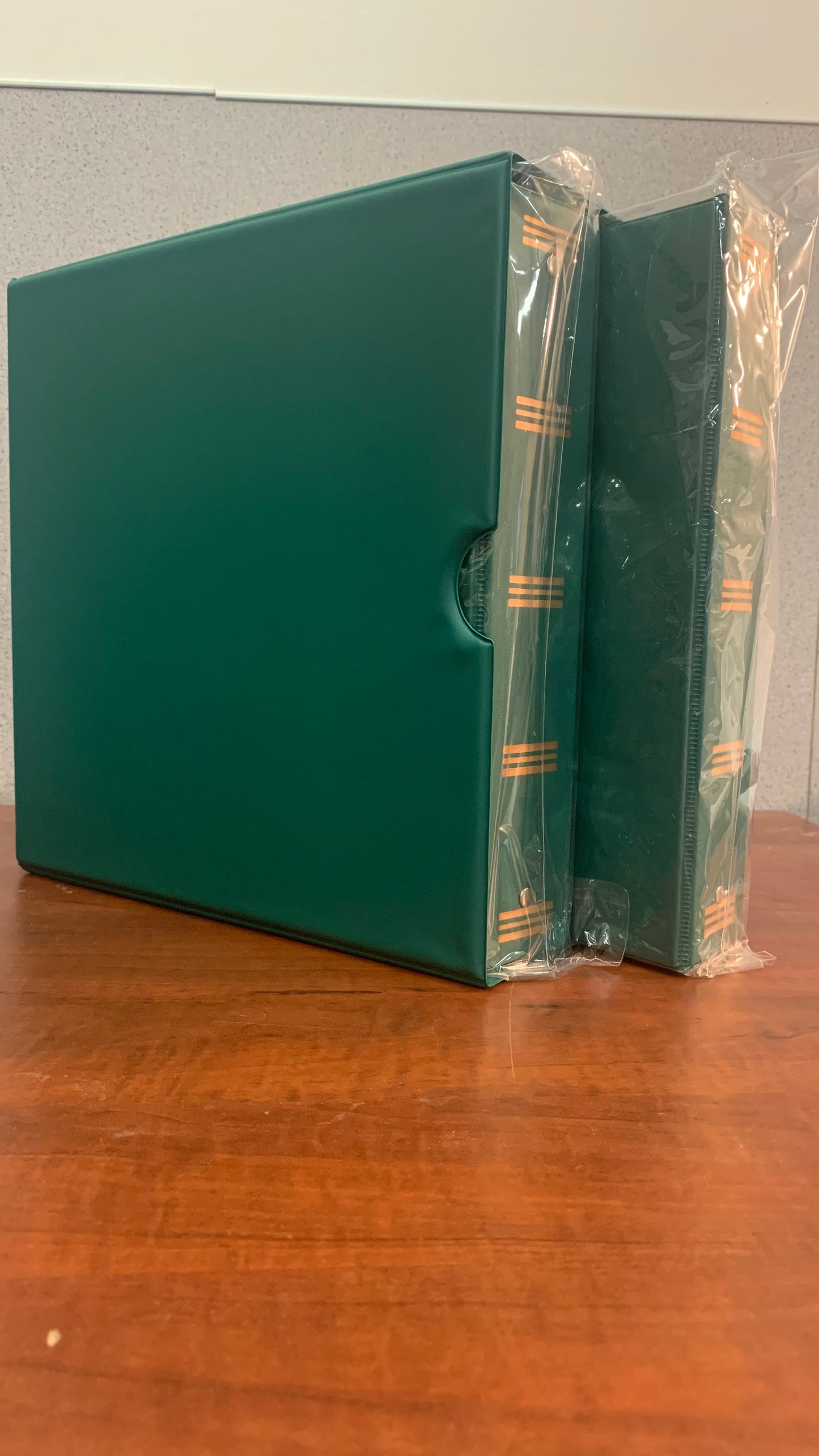 DELUXE PHOTO ALBUM SLIPCASE - EVER-GREEN